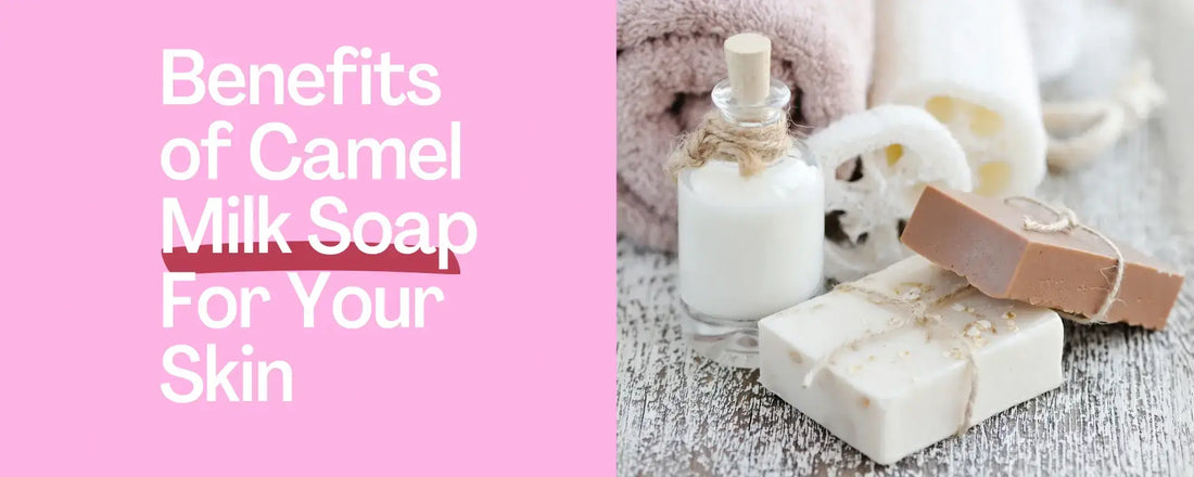 Benefits of Camel Milk Soap displayed with soaps and skincare products for glowing skin.