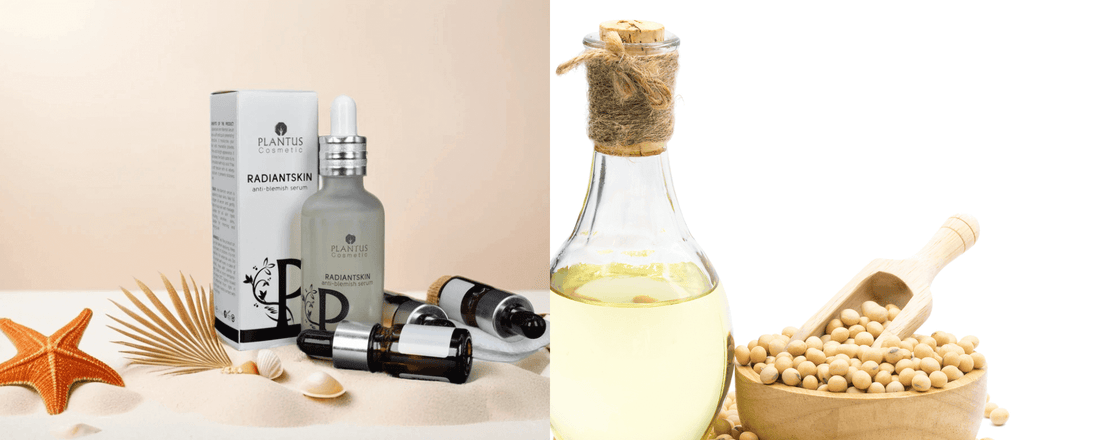 Why Soybean Extract is the Ultimate Skin Protector And How Plantus Cosmetic’s Serum Maximizes Its Power.
